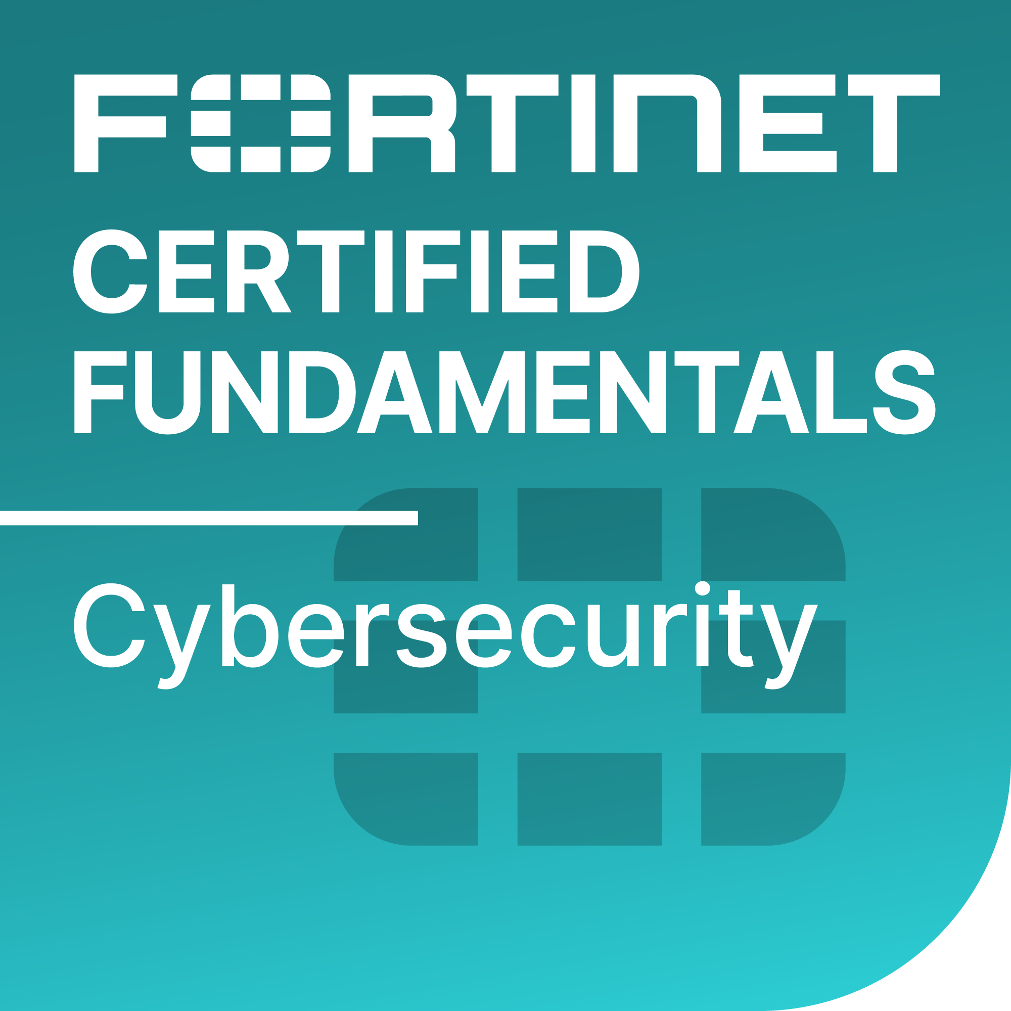 Fortinet 3
